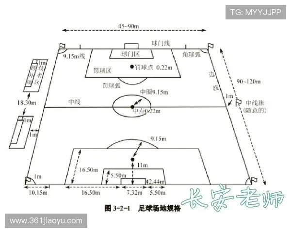 杨芳独家解析足球战术与技巧分享助你提升球场表现